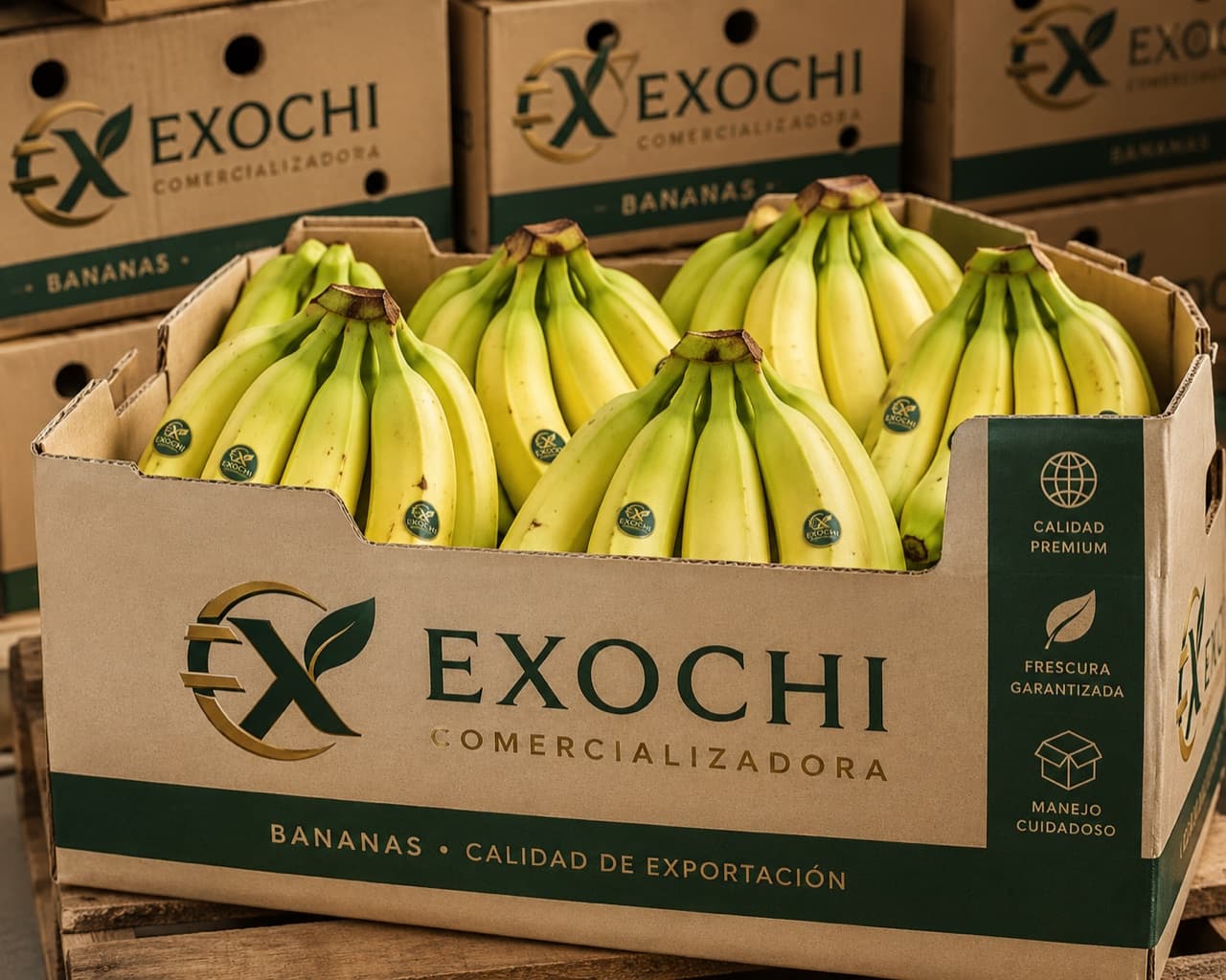 Banana — EXOCHI
