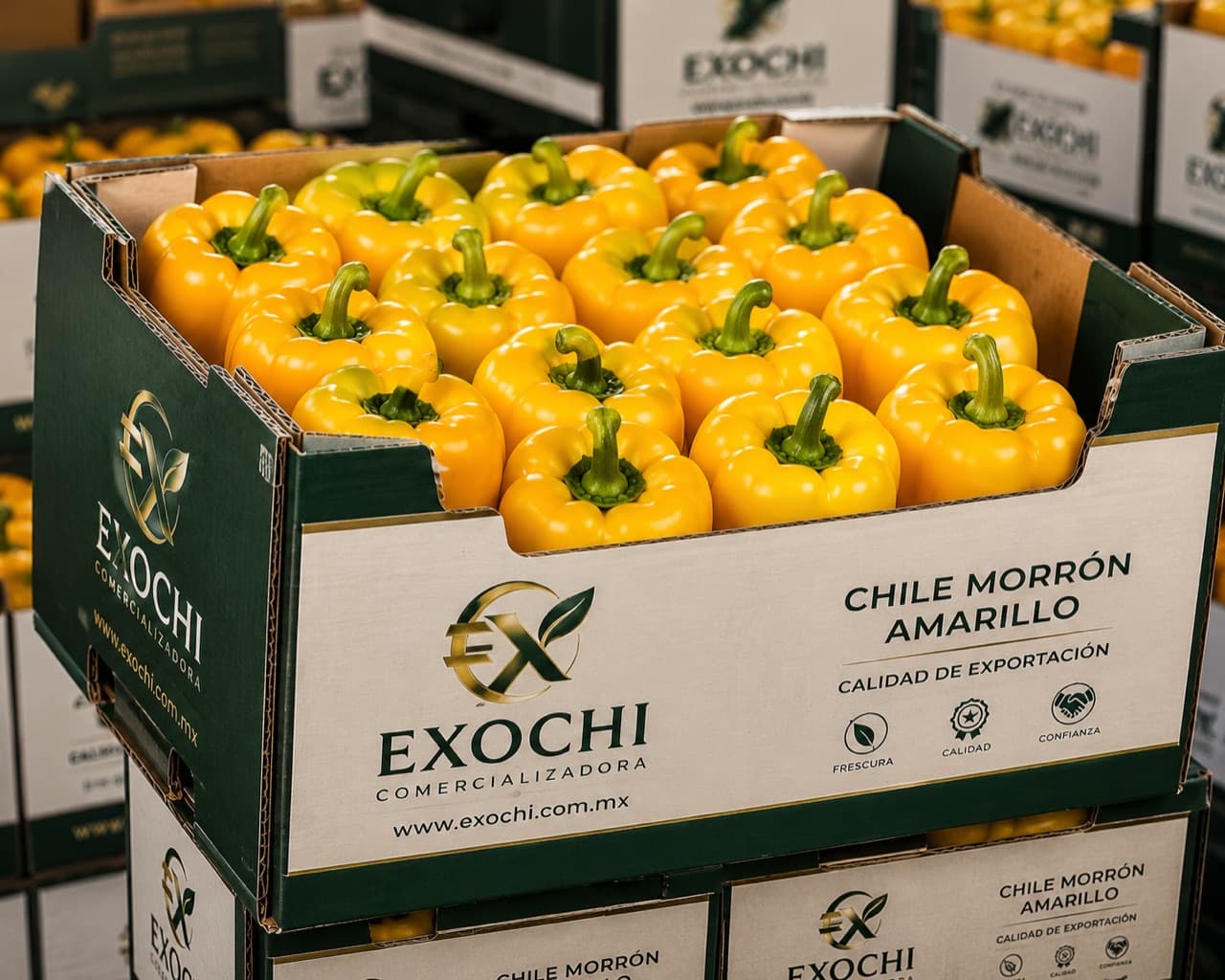 Chile morrón amarillo — EXOCHI